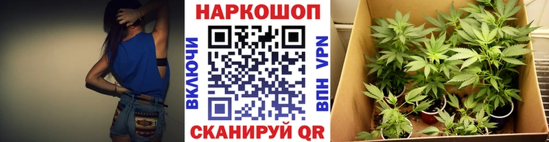 Купить наркотики цена Бирюсинск Бошки Шишки  A-PVP  МЕФ 